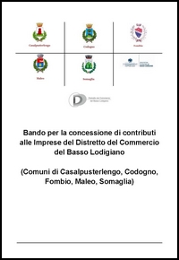 Locandina del bando: pagina bianca con scritta Bando per la concessione di contributi alle Imprese del Distretto del Commercio  del Basso Lodigiano